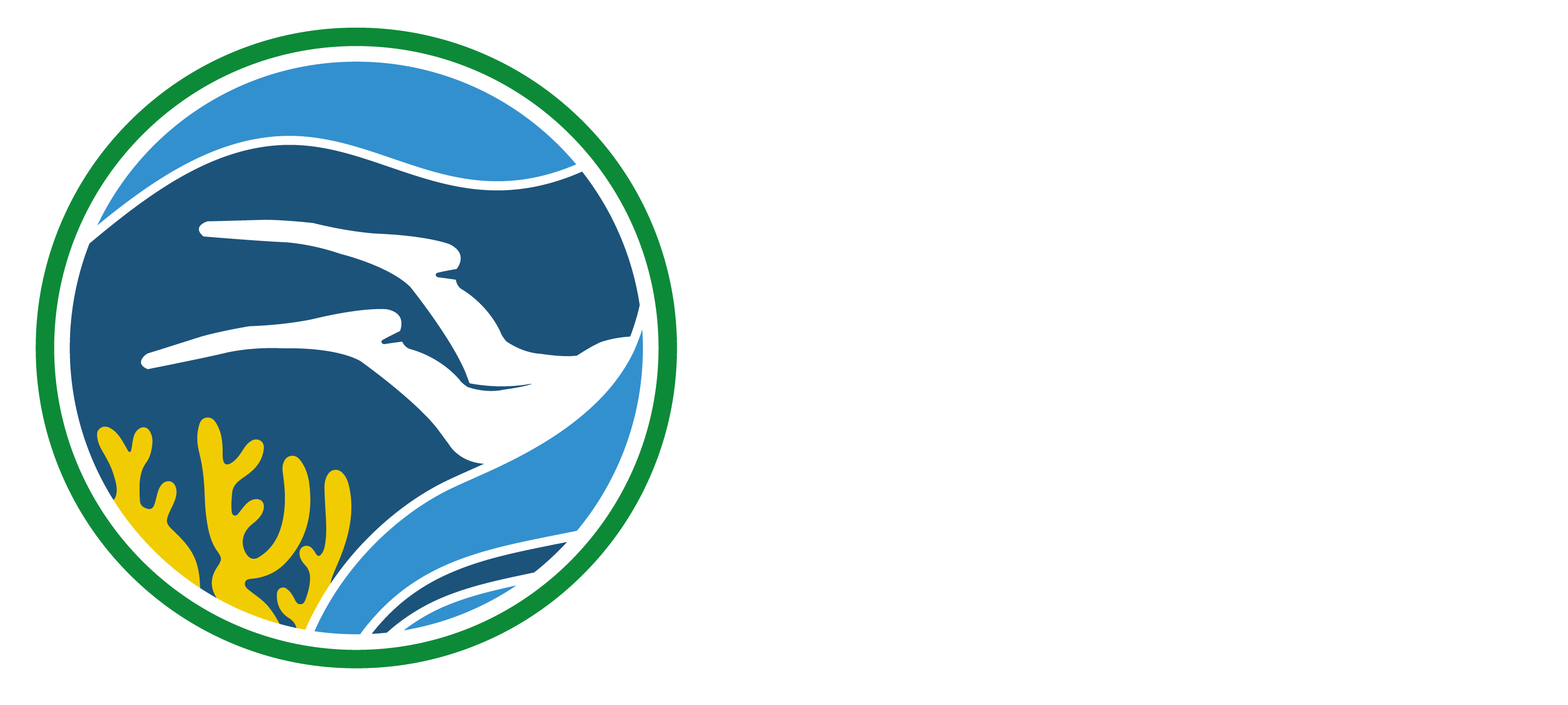 Green Fins Logo